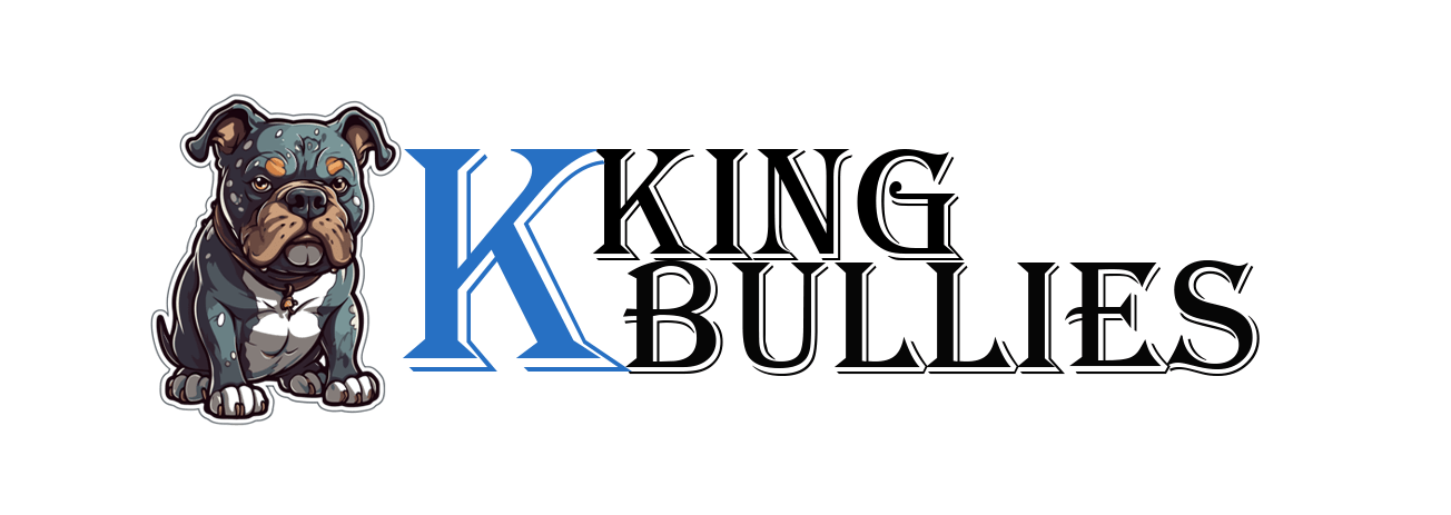 kkingbullies.com